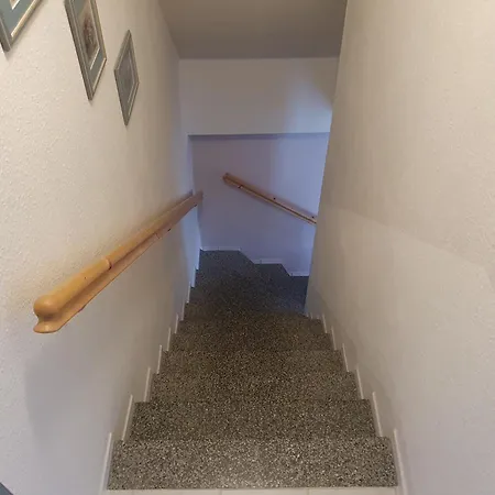 Hummel-nest Laussnitz