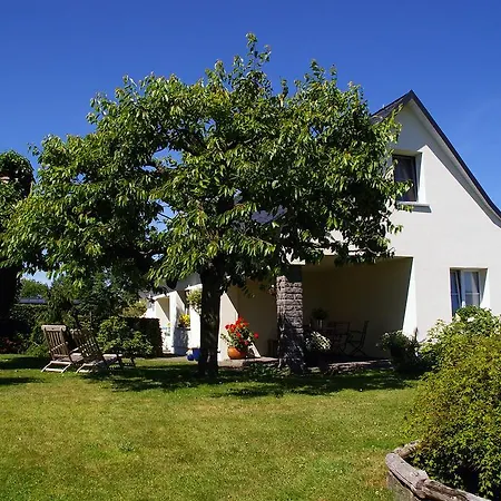 Hummel-nest Laussnitz