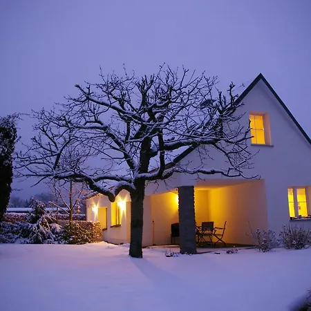 Hummel-nest Laussnitz