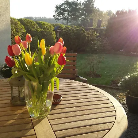 Hummel-nest Dom wakacyjny *