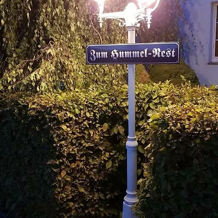 Hummel-nest * Laussnitz