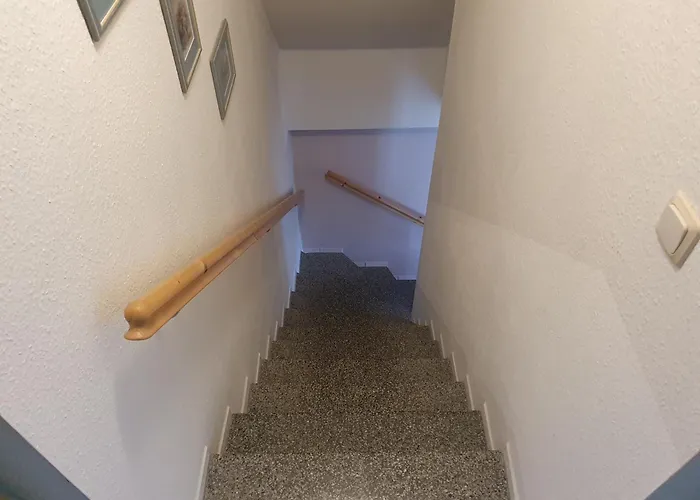 Hummel-nest Laussnitz