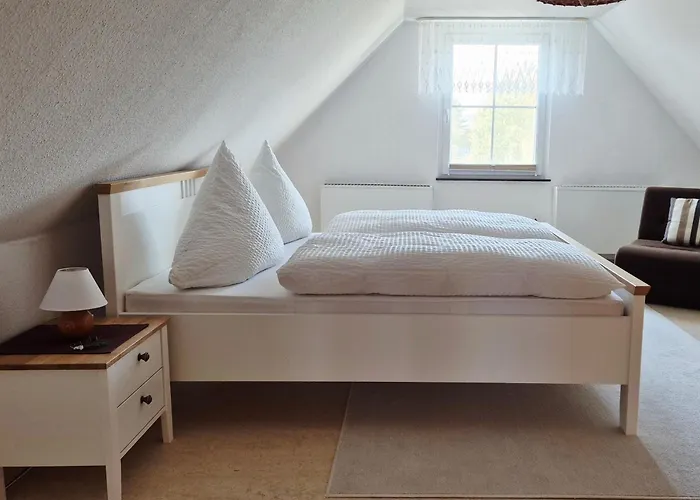 Hummel-nest * Laussnitz