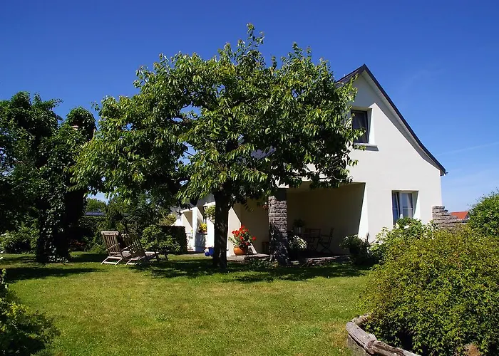 Hummel-nest Laussnitz