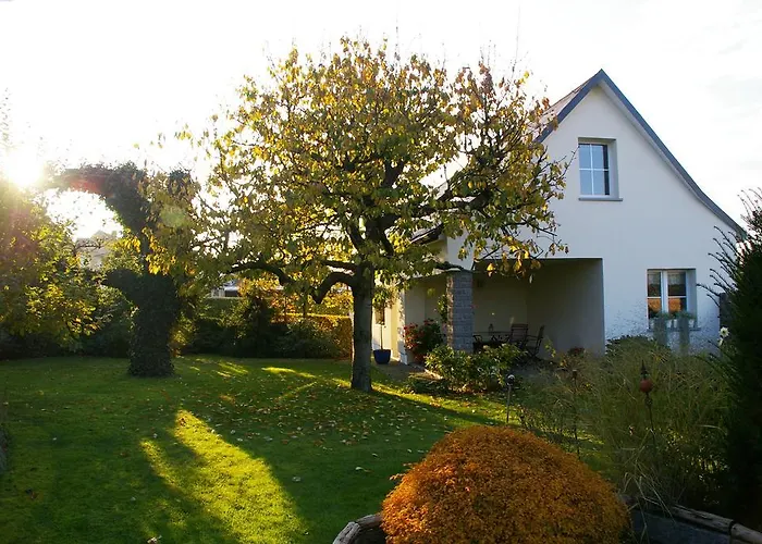 Hummel-nest Ferienhaus Laussnitz
