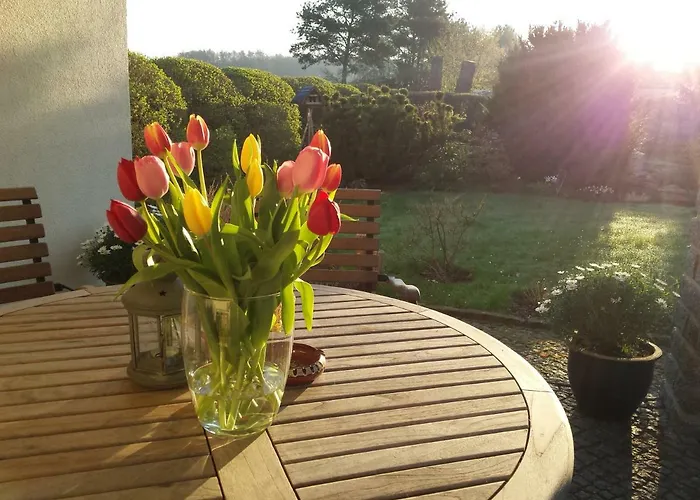 Hummel-nest Ferienhaus *